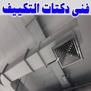 فني دكتات 