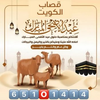 ذبايح للبيع مع قصاب - ابوحسين📞65101414 - ذبايح للبيع - بيع ذبايح - توصيل ذبايح - قصاب - بيع اضاحي - بيع اغنام - بيع ذبايح الكويت